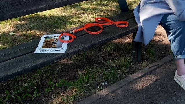 On the bench is a collar and a missing dog notice. A heartbroken dog owner mourns the loss of the dog. Pet relatives and love concept.