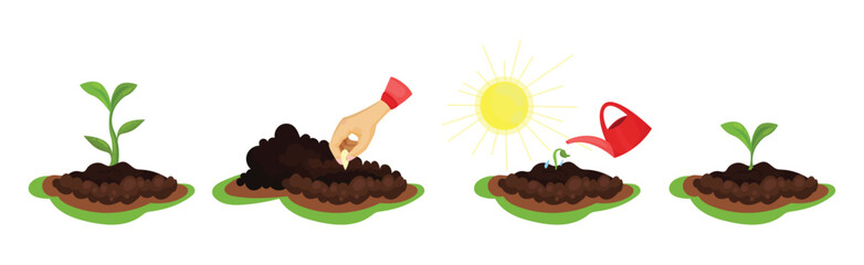 Soil or Ground with Growing Plant as Garden Growth Vector Set
