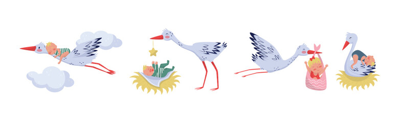 Funny Stork Animal Carrying Little Baby Vector Set