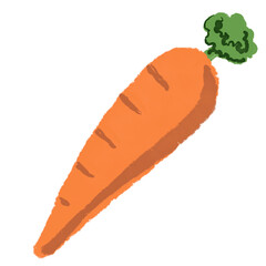 carrot isolated on white