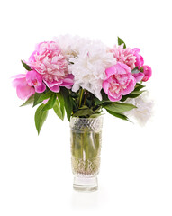 White and pink peonies in a vase.