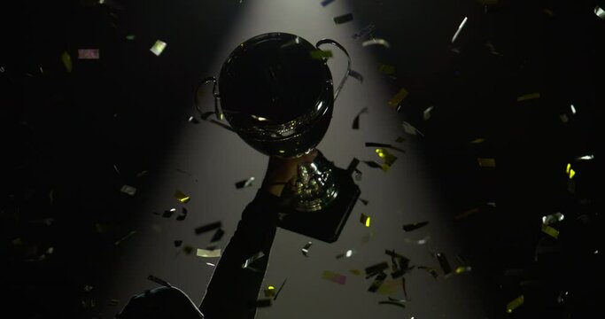 Silhouette of race car driver celebrating the win in a race against bright stadium lights, rising a trophy over his head