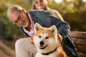 Cheerful european mature couple sit on bench with dog, enjoy date together, walk with animal in...