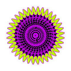 Sunflowers in Vivid Yellow Petals and Purple Pollen