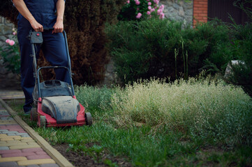 Selective focus on an electric lawn mower and legs of a male gardener mowing green grass, maintaining the lawn in the courtyard of a mansion. Gardening. House maintenance. Landscaping. Copy ad space - obrazy, fototapety, plakaty