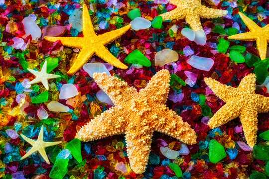 Starfish On Sea Glass