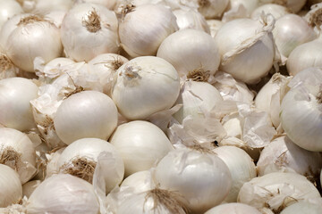 White onion, bulbs in bulk on supermarket, selective focus