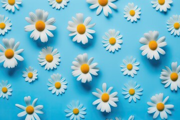 Daisy pattern. In the spring and summer, chamomile blossoms on a sky blue background. repetition as a concept. from the top, looking. Generative AI