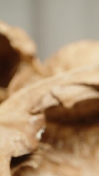 A mountain of empty walnut shells on a white background. Dolly slider extreme close-up. Vertical video.