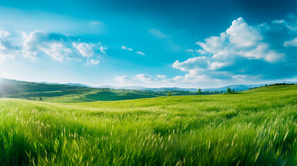 Fototapeta na wymiar field of grass and sky. Generative Ai. 