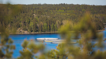 View of circle sea fish farm cages and round fishing nets, farming salmon, trout and cod, feeding...