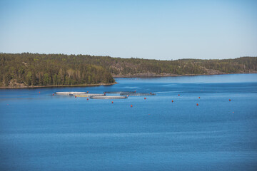 View of circle sea fish farm cages and round fishing nets, farming salmon, trout and cod, feeding the fish a forage, with scandinavian lake landscape and forest island in the background in a summer