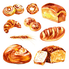 Hand drawn watercolor bread set, isolated on white background. Delicious bakery food illustration.