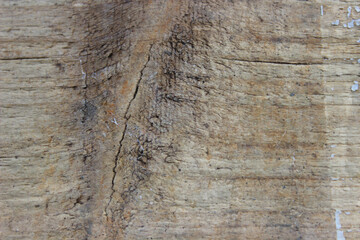 Wood Texture, Brown wooden background