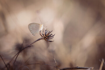 There's no flight until everything lights up