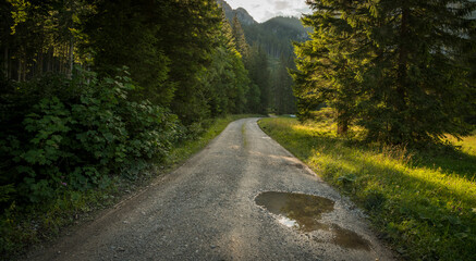 View on a gravelroad in an alpine landscape, with pine trees on both sides of the road, the sun is peaking through the clouds after a storm, some bumps filles with rain water in the foreground.