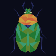 polygonal beetle isolated on black background