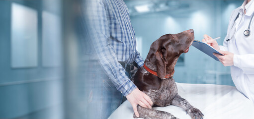 Concept of treatment in a veterinary clinic for dogs.