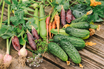 fresh organic vegetables different laid out on a wooden surface framed in a frame close-up...