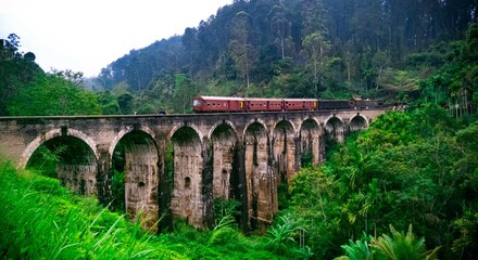 Fototapeta na wymiar Railway bridge in the mountains (Nine Arch Bridge Sri Lanka)