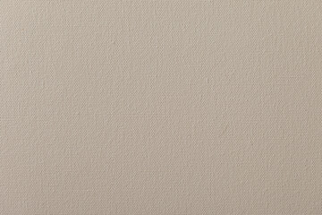 Kraft paper texture. Carton background. Blank sheet of brown kraft paper