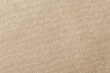 Kraft paper texture. Carton background. Blank sheet of brown kraft paper