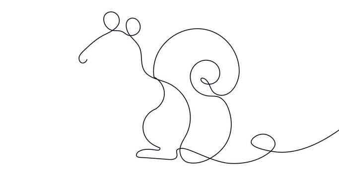 Animation in continuous line style. Minimalistic moving banner with forest squirrel or wild fluffy rodent. Cute mammal from woodland. Linear graphic animated cartoon on white background