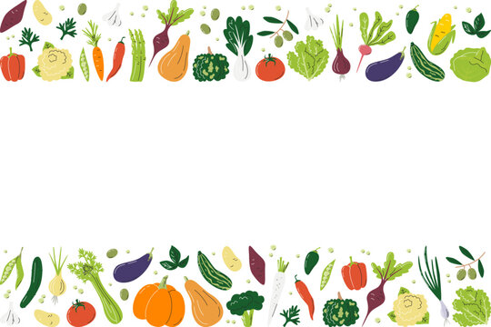 Horizontal banner composition with eco organic vegetables. Rectangle frame of various fresh veggies. Agricultural food background concept design. Hand drawn flat vector illustration with copy space