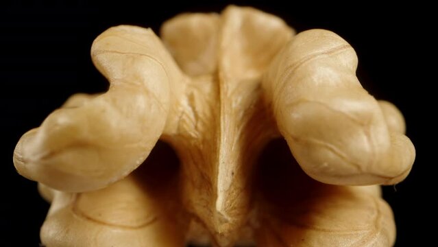 An isolated, peeled walnut against a black background, simulated falling, macro zoom.