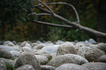 Stone path with trees in the background