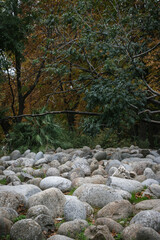 Stone path with trees in the background