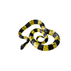 snake