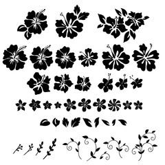 set of tropical hibiscus flower silhouette illustrations - obrazy, fototapety, plakaty