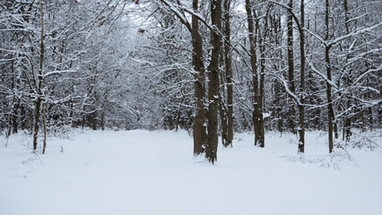 Winter - generative ai