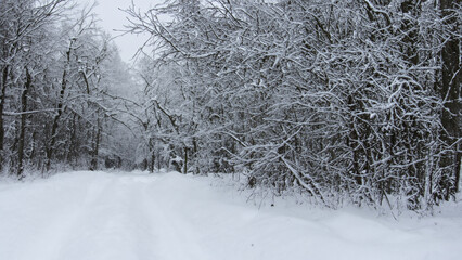 Winter - generative ai