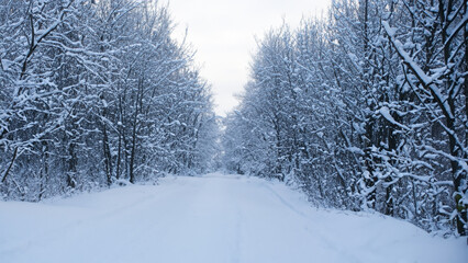 Winter - generative ai