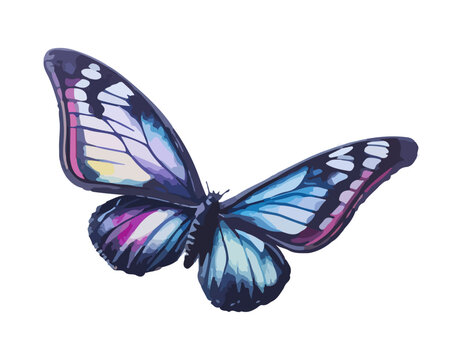 Butterfly painted in watercolor. Hand drawn summer illustration insect for design.