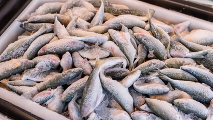 Frozen sea fish in ice on a counter in a store during the sale of fresh and healthy products. - generative ai