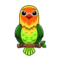 Cute fischer love bird cartoon on tree branch