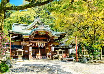 京都、粟田神社の御本殿