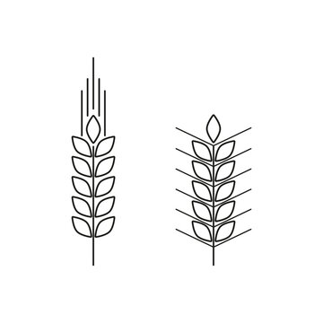 Ear of wheat icon, line sign. Vector illustration. stock image.
