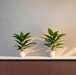 A plant in a vase on a gradient background of warm tones, natural light with shadows of tree leaves.