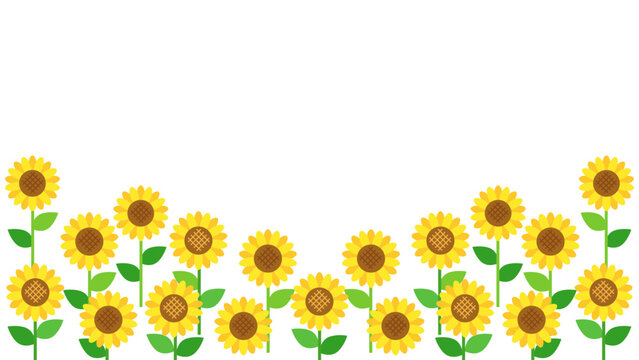 向日葵のお花畑をイメージしたイラスト　アスペクト比16：9バージョン