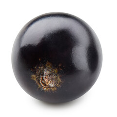 Black currant isolated