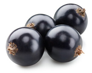 Black currant isolated