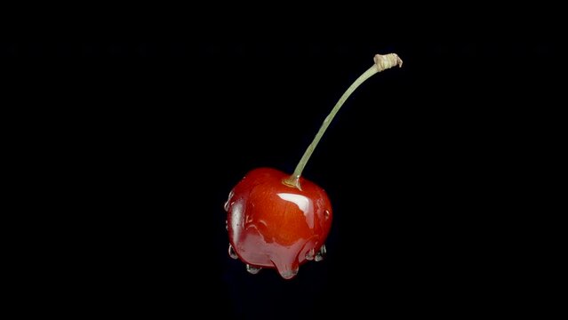 A solitary cherry isolated on a black background, with honey dripping from it.