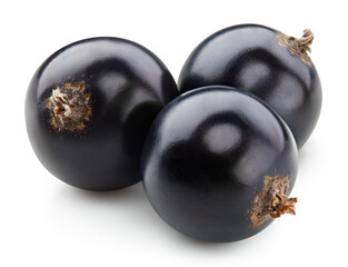 Black currant isolated