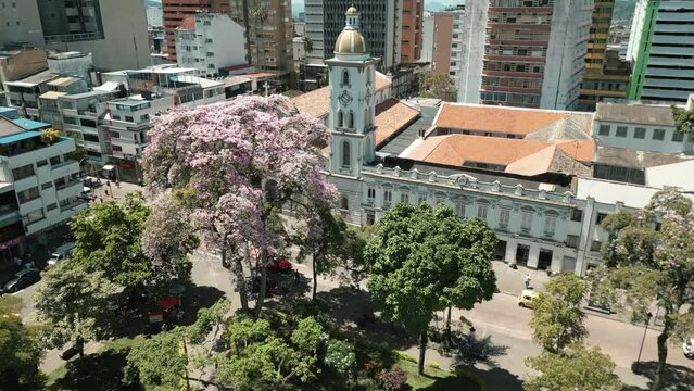 Ocobo plaza de Bol&iacute;var Ibagu&eacute; 