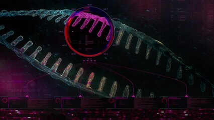 3D animation of an isolated floating double helix in an artificial intelligence HUD screen graphic. Conceptual DNA string protein scan in macro close-up view. Futuristic microbiology bioengineering. - Powered by Adobe