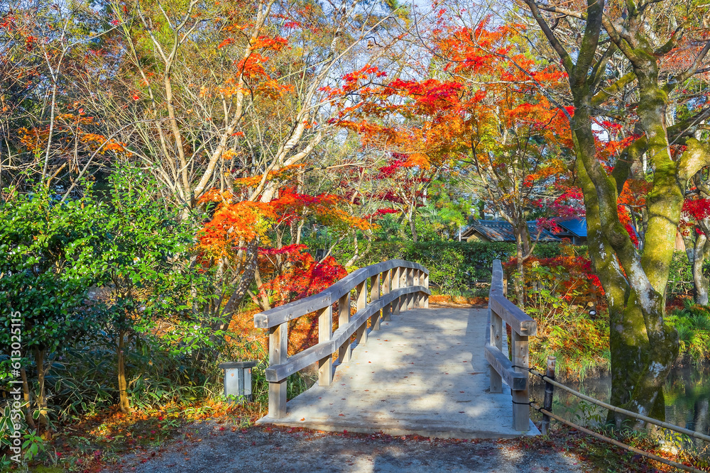 Canvas Prints Autumn Scenery in a Park in the Famous Yufuin Resort Town